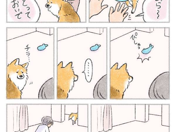 ぬいぐるみを持ってきた犬　飼い主が投げた結果？　「あるある…」