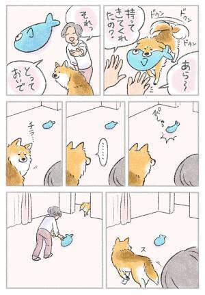 ぬいぐるみを持ってきた犬　飼い主が投げた結果？　「あるある…」