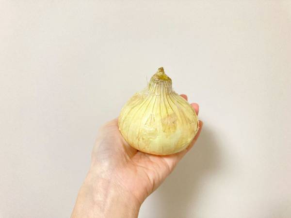 「最高」「おいしすぎた」　JA全農の『新玉ねぎ』レシピが、目からウロコ