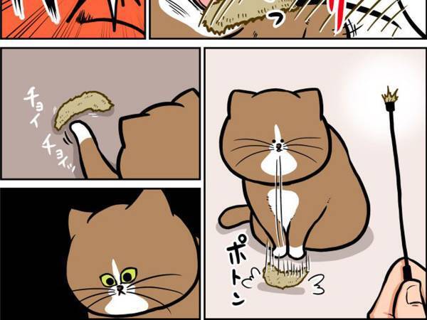 猫にとって『最強』のおもちゃとは…　飼い主が１０年目で気付いたこと