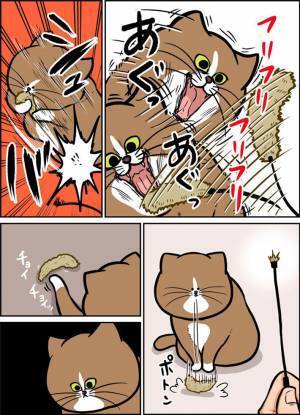 猫にとって『最強』のおもちゃとは…　飼い主が１０年目で気付いたこと