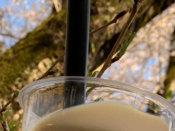 イモ好きな大学生が原料から作ったものに「根性ある」「すごい」