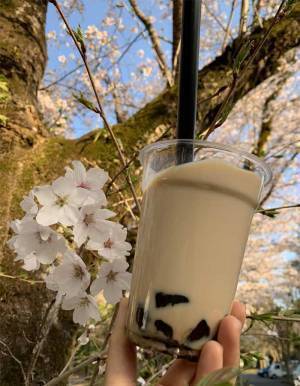 イモ好きな大学生が原料から作ったものに「根性ある」「すごい」