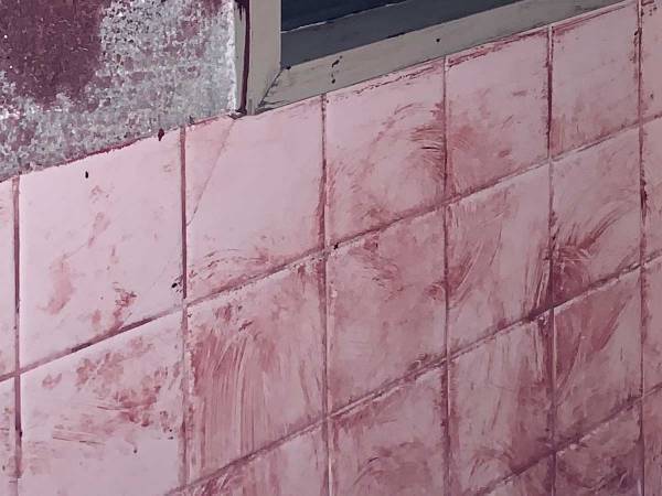 実家の浴室の雰囲気に「声出た」「もう泣くしかない…！」