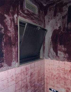 実家の浴室の雰囲気に「声出た」「もう泣くしかない…！」