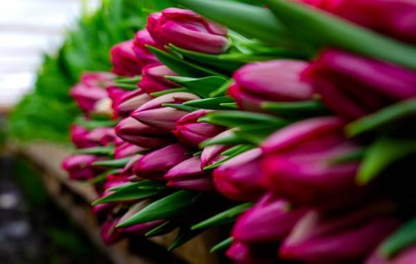 『もの』の向こう側に思いを馳せることは、世の中が少し優しくなることにつながる