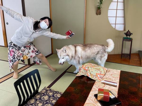 旅館に到着！　愛犬と、記念に１枚撮影したら…？「顔よ！」「温度差がすごい」