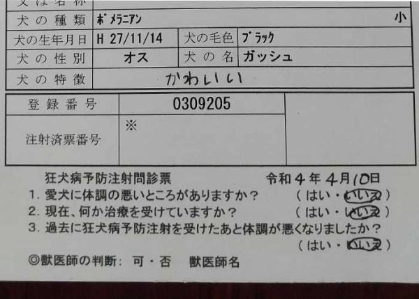 犬の予防注射の問診票　特徴欄の回答が「笑った」「ほかに書くことない」