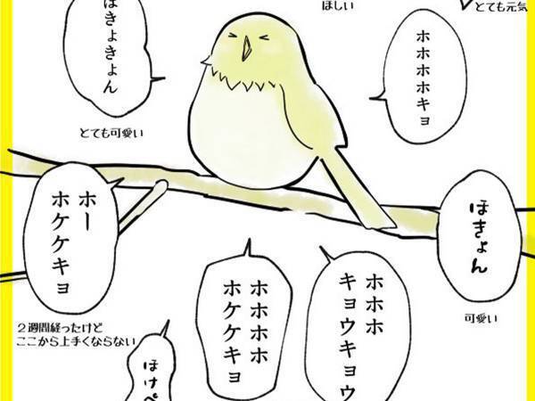 「めっちゃ応援しちゃう…」　ウグイスの不完全なさえずりに、１１万『いいね』