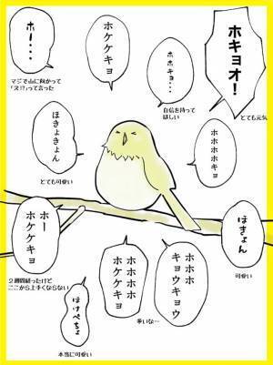 「めっちゃ応援しちゃう…」　ウグイスの不完全なさえずりに、１１万『いいね』
