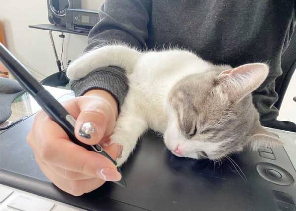 在宅勤務をしていると…　仕事に手が付かなくなった理由に「至福の瞬間」