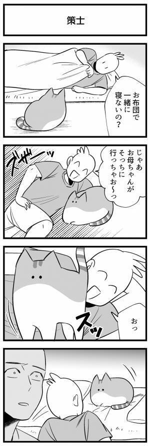 布団に入ろうとしない猫　「ならば…」と飼い主が寄り添うと？