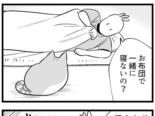 布団に入ろうとしない猫　「ならば…」と飼い主が寄り添うと？