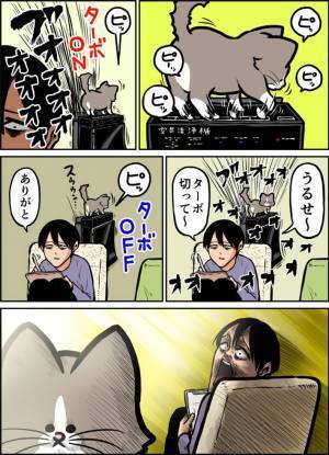 猫と会話していた飼い主　その後のオチに「あるある」の声が続出