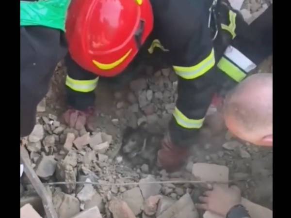 ウクライナで救われた１つの命　がれきの下から顔を出したのは　「涙が出た」