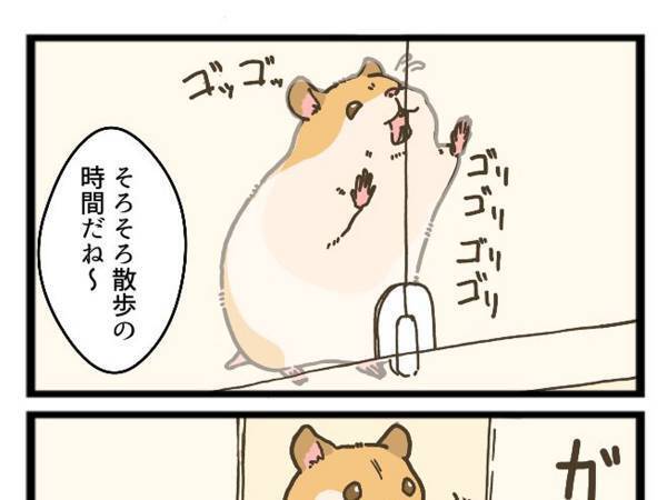 ハムスターの『フリーズ』にあるあるの嵐！　「分かりすぎる」「笑った」