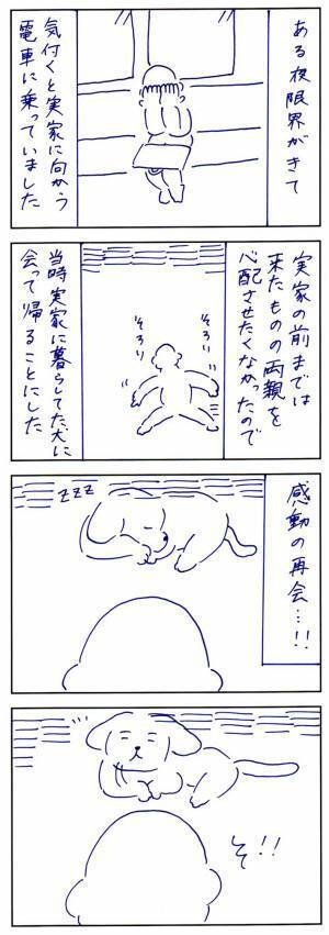 実家の犬に、こっそり会いに行くと…？　まさかの展開に「泣いた」「これは元気でる」