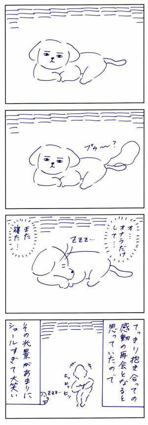 実家の犬に、こっそり会いに行くと…？　まさかの展開に「泣いた」「これは元気でる」