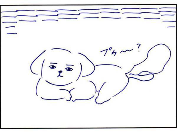 実家の犬に、こっそり会いに行くと…？　まさかの展開に「泣いた」「これは元気でる」