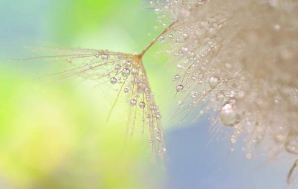 『美』を生み出しているのは、私たちの心　美しいものに出会っていく一つの秘訣とは