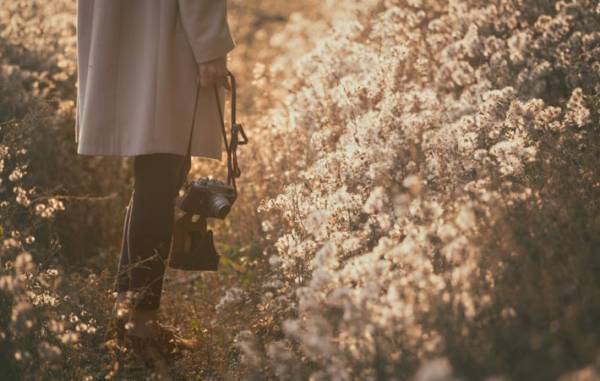 『美』を生み出しているのは、私たちの心　美しいものに出会っていく一つの秘訣とは