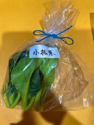 なぜか荷物に入っていた『小さな小松菜』　理由に「一生その農家の野菜を買いたくなる」