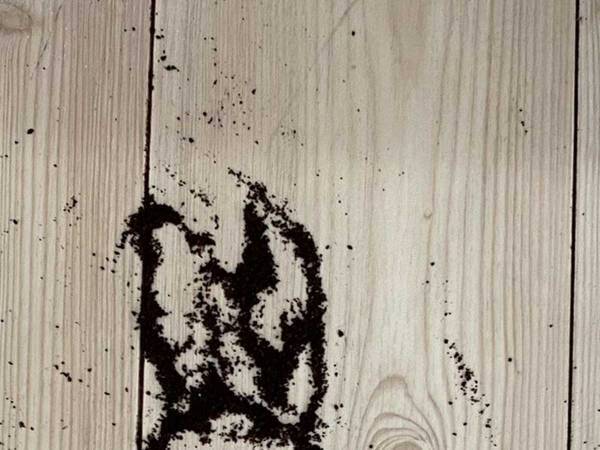 床に落としたコーヒーの粉で描いたものが「雪舟の作品みたい！」