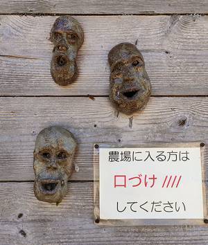 廃牧場の壁を見て「ヒィッ！」　ホラーな光景に「貼り紙がやばい」「泣くわ！」