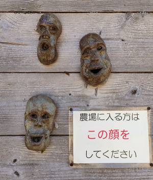 廃牧場の壁を見て「ヒィッ！」　ホラーな光景に「貼り紙がやばい」「泣くわ！」