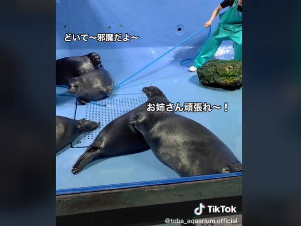なかなかどかない！　飼育員が下敷きになったホースを引っ張ると…「面白い」「悶絶」