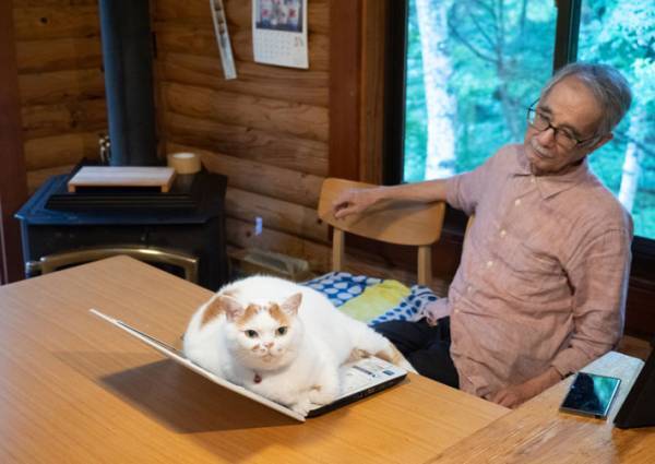 PCを猫に奪われた父が見せた『表情』　１人と１匹のギャップにジワる