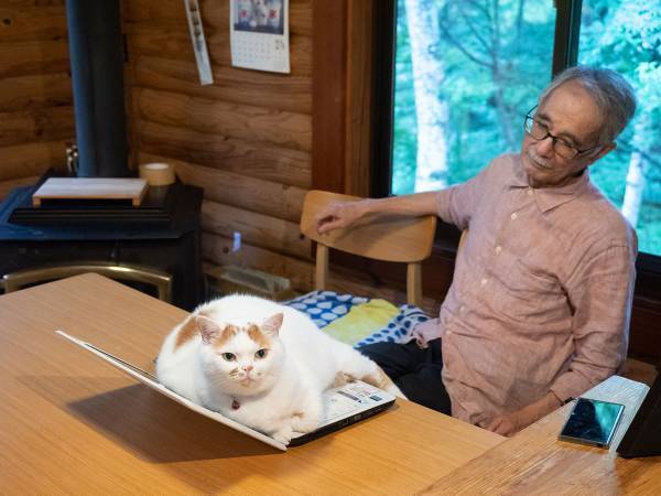 PCを猫に奪われた父が見せた『表情』　１人と１匹のギャップにジワる