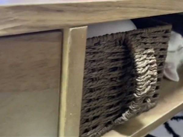 猫が寝ている姿を見て…　飼い主「こけしみたい！」