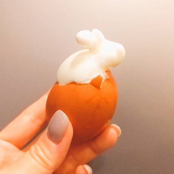 「卵から…ウサギが生まれたんだけど！？」　驚きの１枚に「マジだ」「すげぇ」