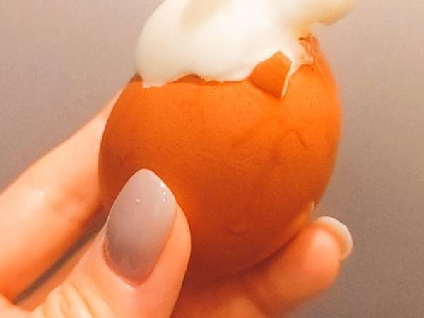 「卵から…ウサギが生まれたんだけど！？」　驚きの１枚に「マジだ」「すげぇ」