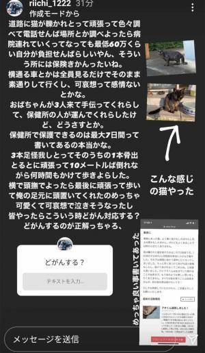 高校生が見つけた、大ケガをした１匹の猫　１年後の姿に「涙が出てくる」