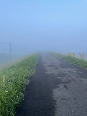 普段から通る道　いつもと違う光景に「ゾワッとした」「異世界の入り口だ」