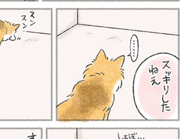 使わなくなったケージを片付けると…？　「あるある」「うちもそう！」