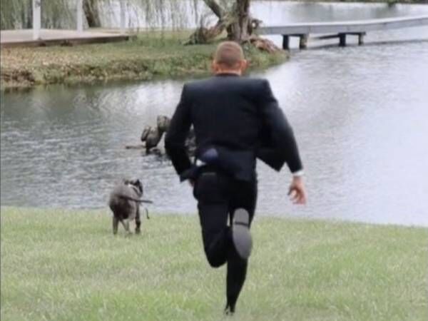 結婚式の写真撮影に参加した犬 続く展開に150万人が爆笑 狙ってたな 22年4月25日 ウーマンエキサイト 1 3 結婚式の写真撮影に参加した犬 続く展開に150万人が爆笑 狙ってたな 22年4月25日 ウーマンエキサイト 1 3