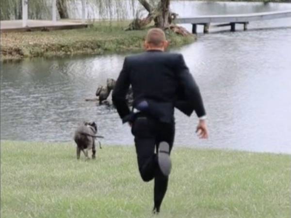 結婚式の写真撮影に参加した犬　続く展開に１５０万人が爆笑　「狙ってたな」