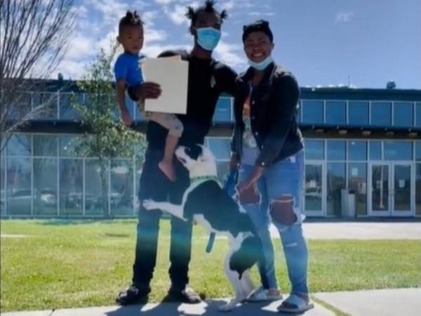 こんな結末があるなんて！　保護犬の里親を募集したら？　「嬉し涙が出た」