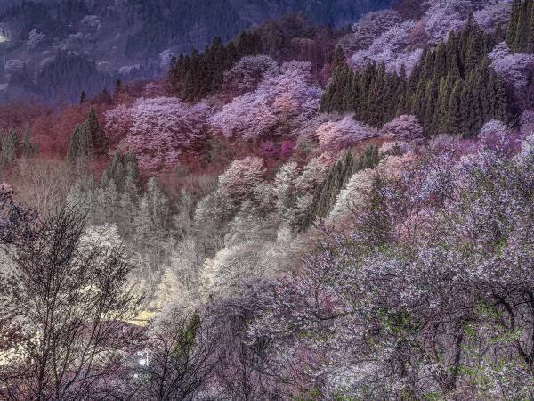 「これは怖い」「ゾッとした」　風景を撮っていた写真家　背後にいたのは…？