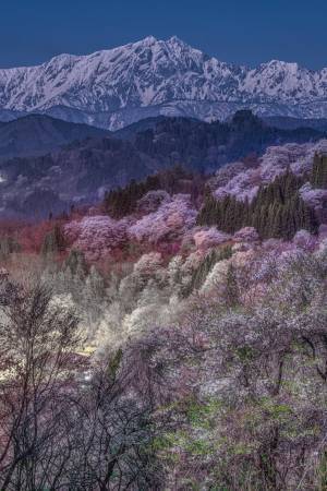 「これは怖い」「ゾッとした」　風景を撮っていた写真家　背後にいたのは…？
