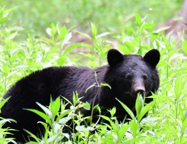 これは怖い ゾッとした 風景を撮っていた写真家 背後にいたのは 22年4月25日 ウーマンエキサイト 1 2