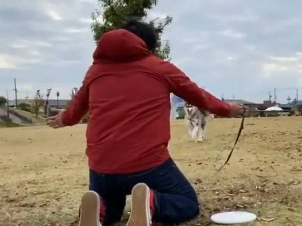 ハグのポーズで犬を待つ飼い主　オチに「笑った」「シュール」