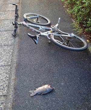 パニックになり、自転車ごと転倒した男性　理由に「五度見不可避」「なんで！？」