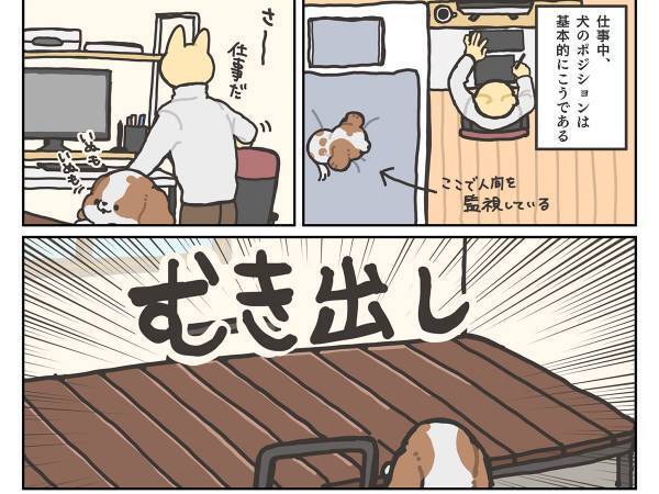 仕事中の飼い主を、ベッドの上から監視する犬　しかし布団を干している時は？