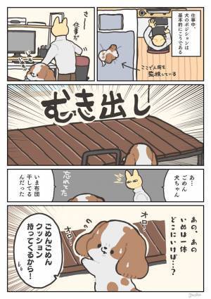 仕事中の飼い主を、ベッドの上から監視する犬　しかし布団を干している時は？