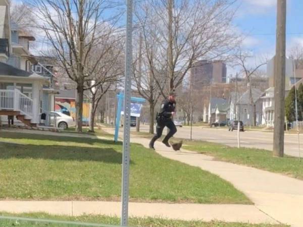 白昼の逮捕劇に大笑い！　警察官が追いかけているのは？　「面白すぎる」