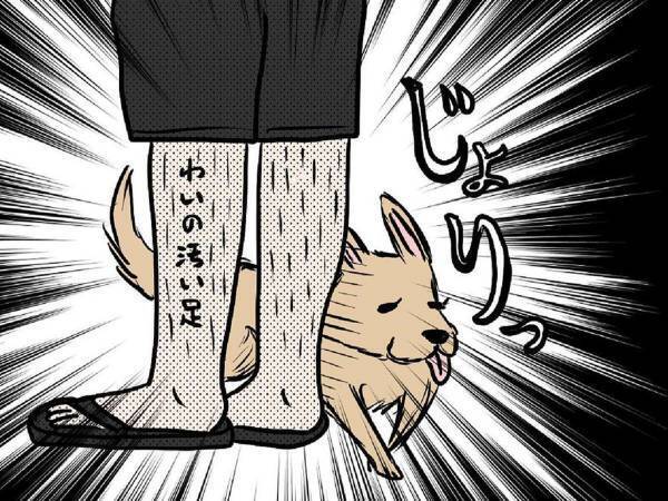 外を歩いていた男性　すると散歩中の犬が近付いてきて…？